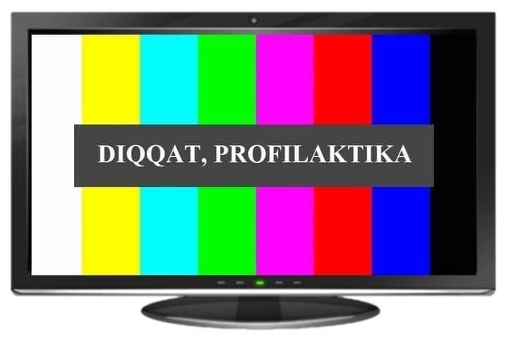 Profilaktika ishlari